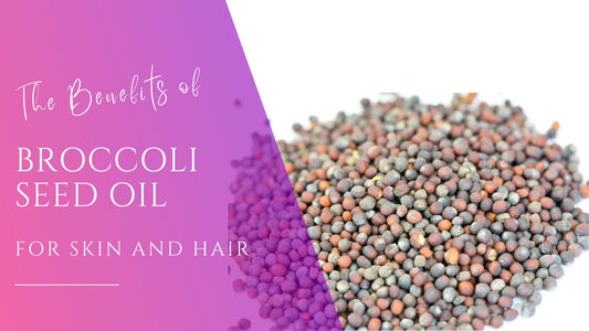 close up of broccoli seeds for broccoli seed oil benefits