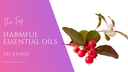 red berries from the wintergreen plant that may be harmful essential oils