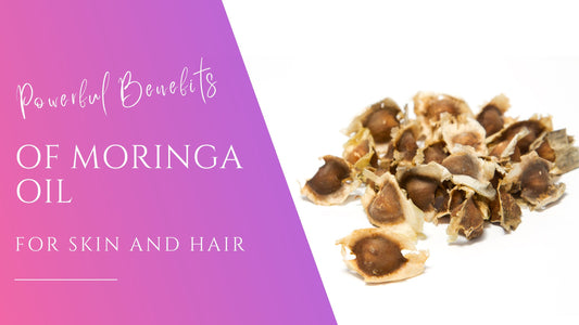 dark and tan moringa seeds for the benefits of moringa oil