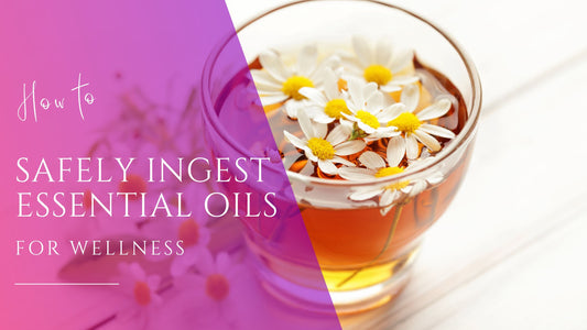 chamomile tea with white and yellow chamomile flowers in it for ingesting essential oils safely