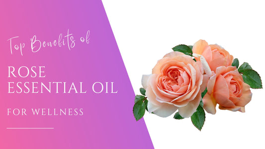 beautiful pink roses and leaves for the benefits of rose essential oil