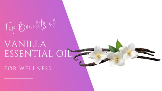 warming vanilla flowers and vanilla bean for the benefits of vanilla essential oil