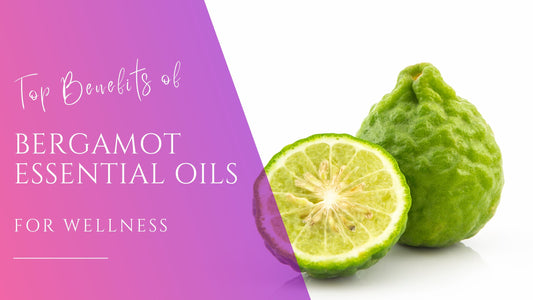 Vibrant green bergamot fruit for the benefits of bergamot essential oils