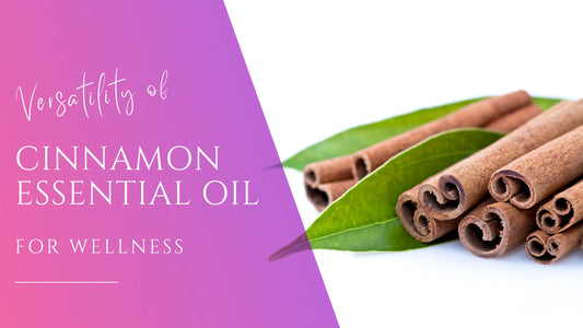 warming cinnamon sticks next to bright green leaves for the benefits of cinnamon essential oil for wellness