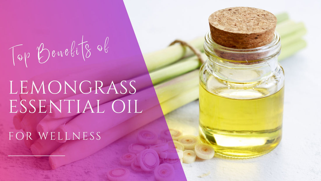 beautiful stalks of cut lemongrass leaves for the benefits of lemongrass essential oil