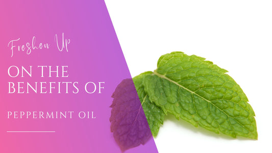 pepermint leaves on a white background for peppermint essential oil benefits